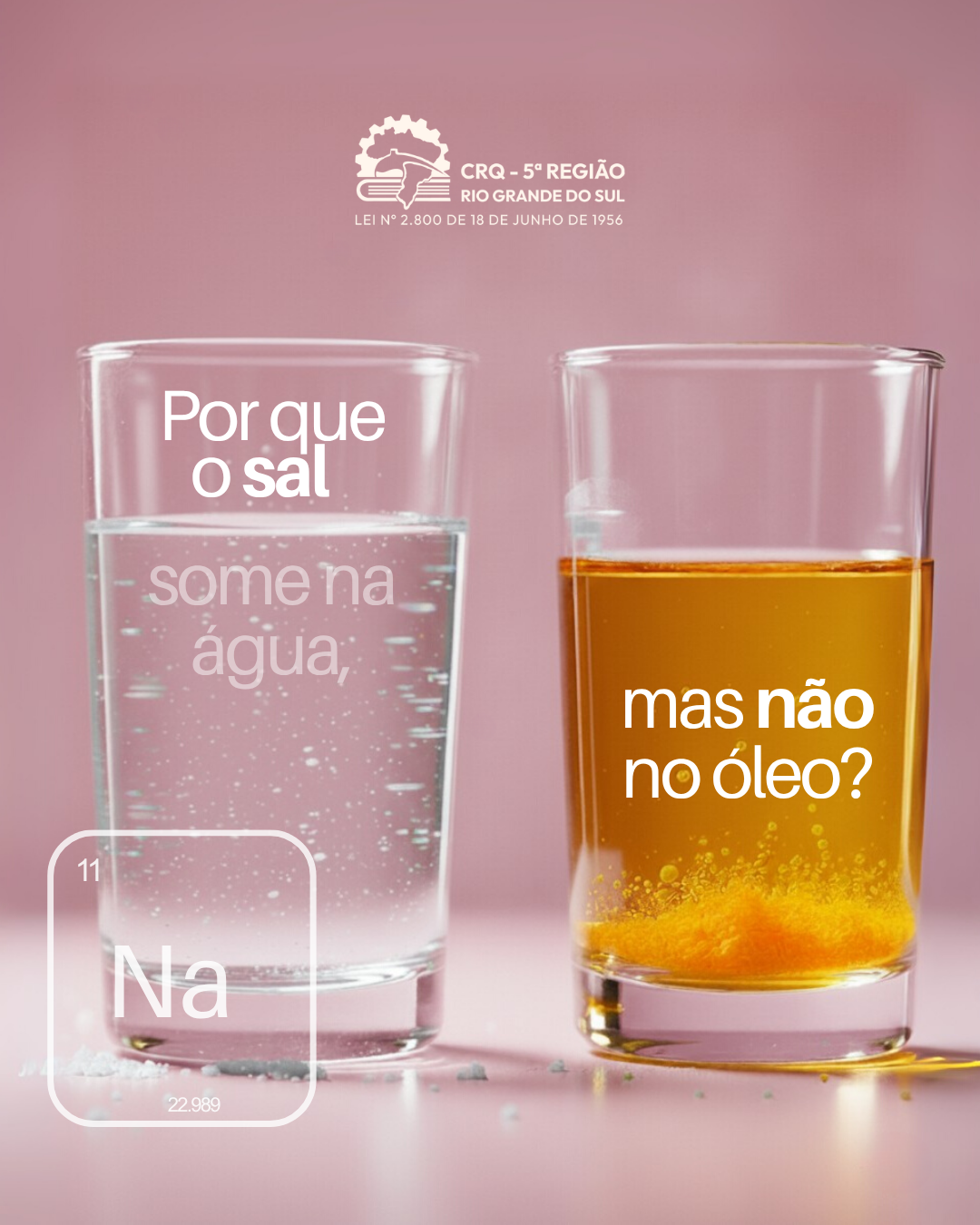 por-que-o-sal-some-na-agua-mas-nao-no-oleo