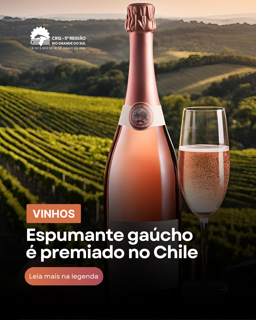 espumante-gaucho-e-premiado-no-chile