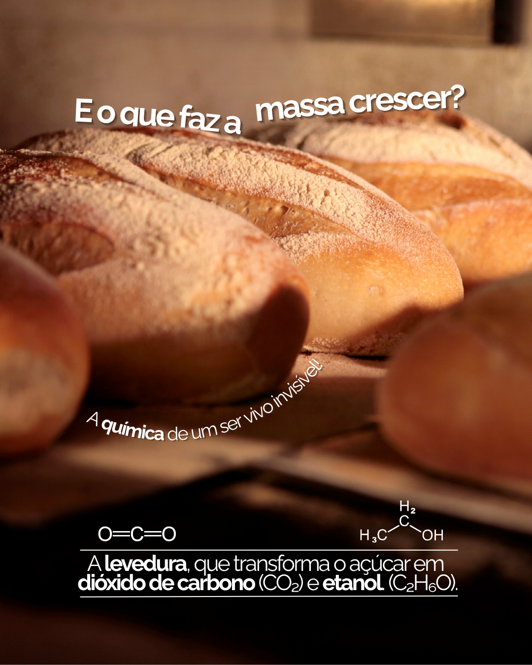 pao 4.png