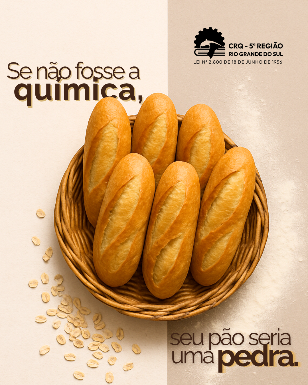 se-nao-fosse-a-quimica-seu-pao-seria-uma-pedra