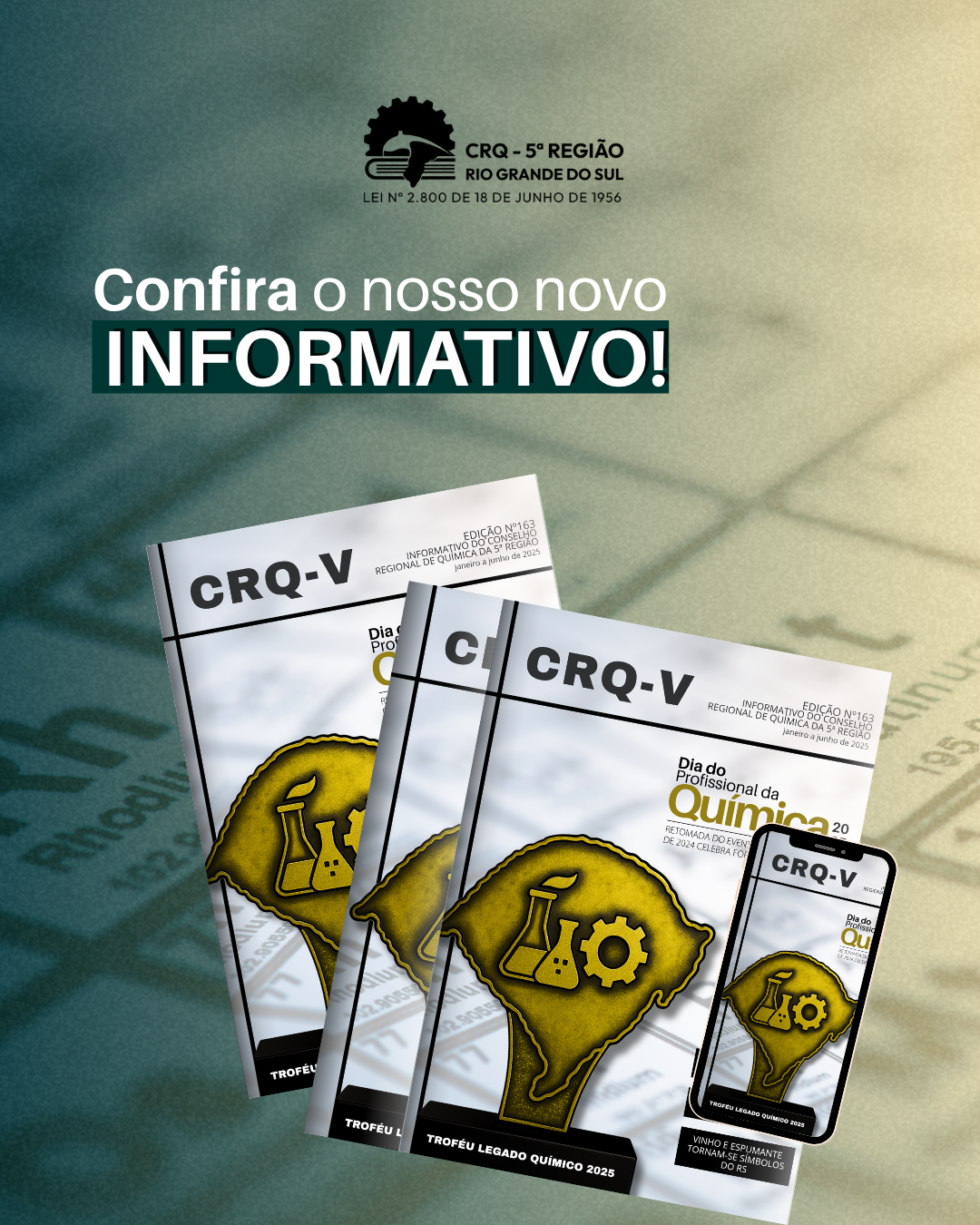 confira-o-nosso-novo-informativo