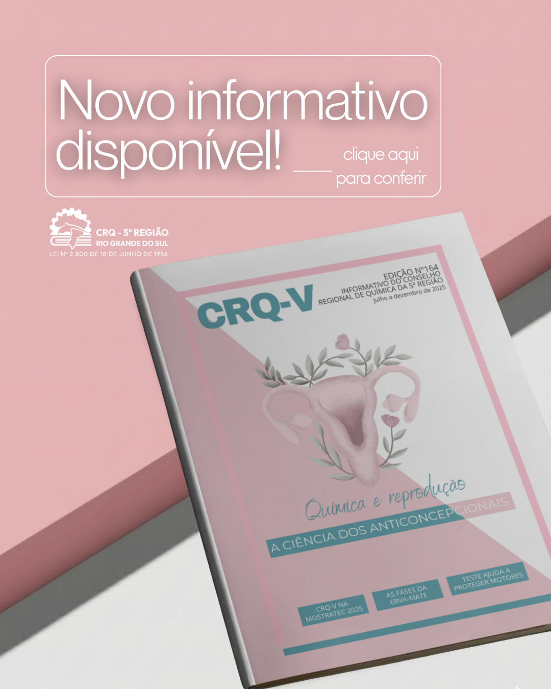 novo-informartivo-disponivel