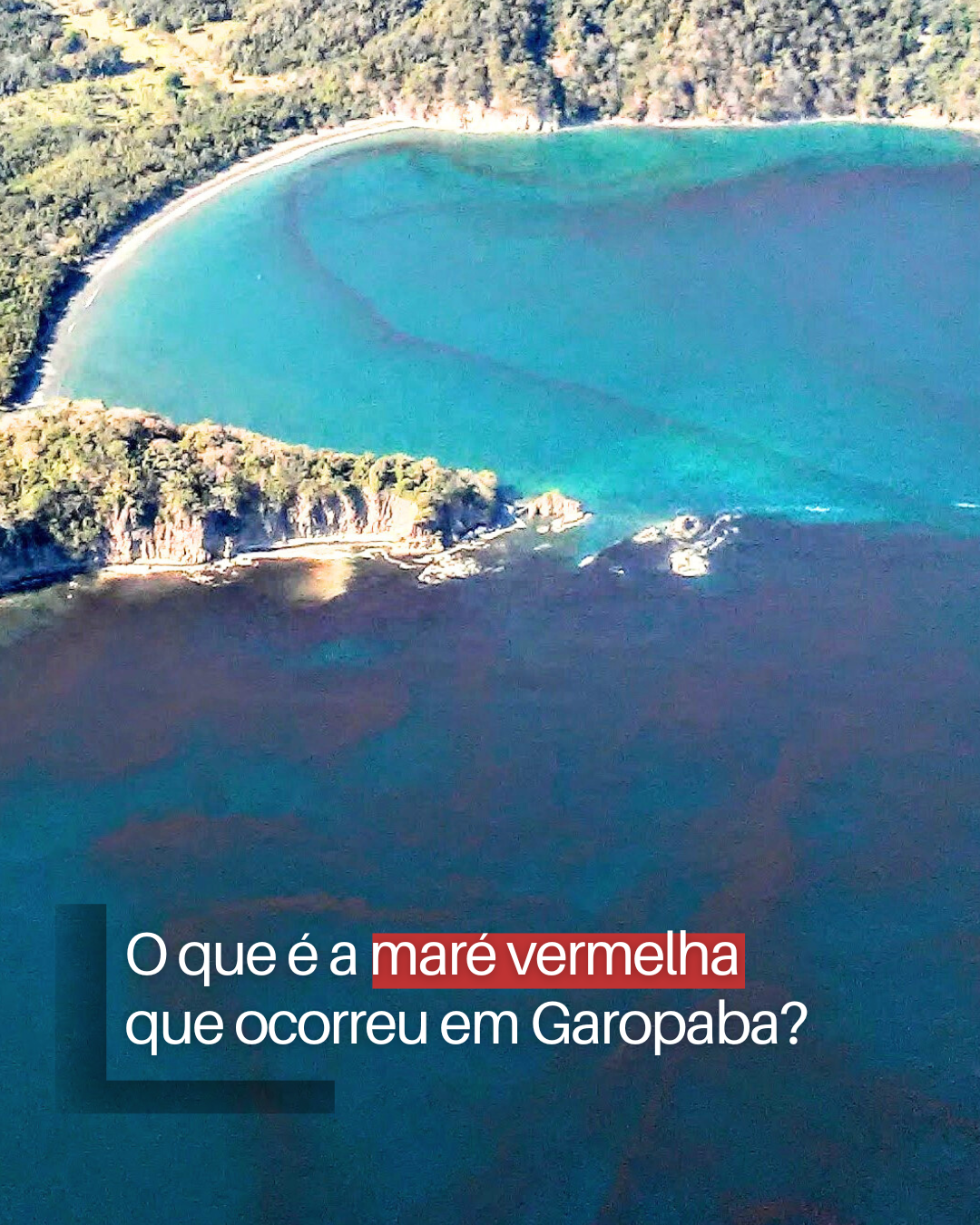 o-que-e-a-mare-vermelha-que-ocorreu-em-garopaba
