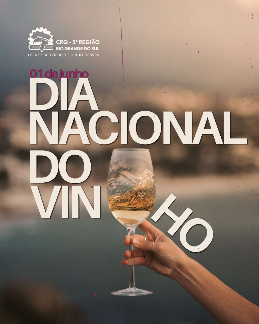dia-nacional-do-vinho