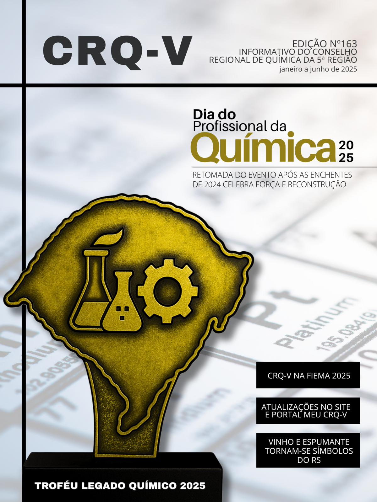 Informativo nº 163